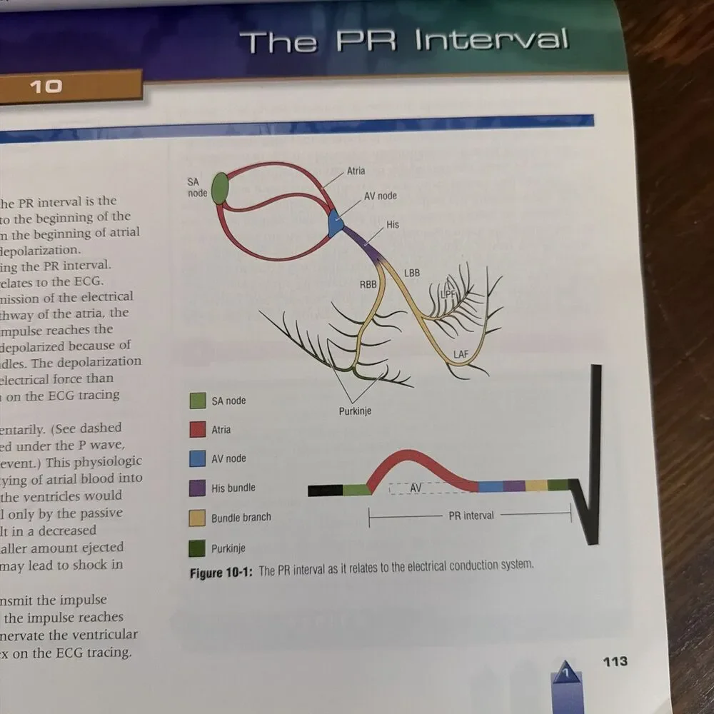 12-Lead ECG: The Art of Interpretation by Garcia & Holtz
